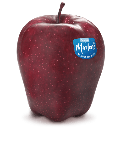marlene_red-delicius-red-chief-rgb-de.png